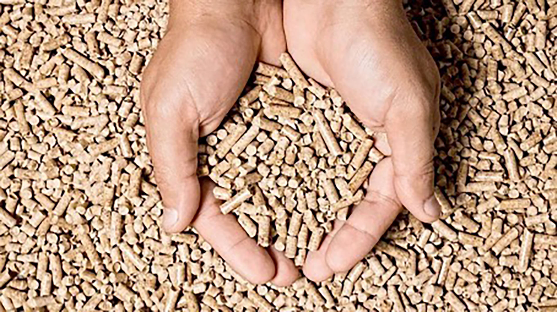 Burgergemeide Zermatt - Forst Pellets